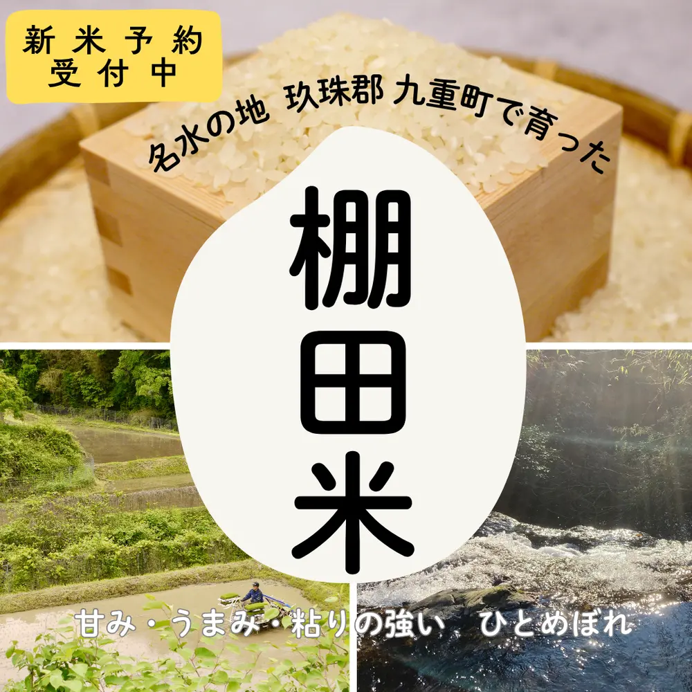 ひとめぼれ