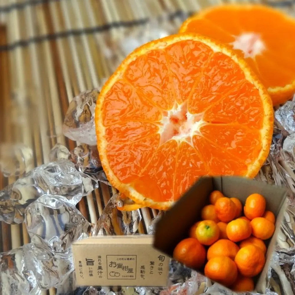 商品名