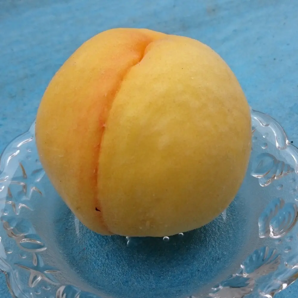 黄金桃