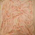 生白えび殻付き500ｇ | 500g