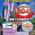【長野県産】訳あり 美味しい長ねぎ泥付き5kg～   45本以上 1本あたり55円〜 | 泥付き5kg～   45本以上 1本あたり55円〜