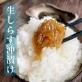 【新物限定品】生しらすの沖漬け4P | 4P(約400g)