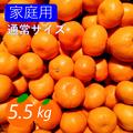 【家庭用】愛媛みかん 5.5kg(通常サイズ) ひとくちで恋する♡濃い味みかん♪ | 【家庭用】5.5kg(箱込み)
