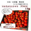 【初売】送料込み③希少な高濃度フルーツトマト　ソムリエミニトマト　プラチナ1kg（60玉から90玉） | 1kg