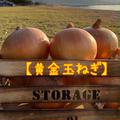【旬祭限定】「肉厚ジューシー黄金玉ねぎ！！」あま〜くて美味しい淡路島産完熟玉ねぎ | 5kg