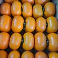 大人の渋抜き柿（ブランデー脱渋・平核無柿・家庭用・約4kg　２０個前後入り） | 約4kg（２０個前後入り）