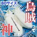 【冷凍保存もしたいならこれ】今治産  イカ詰め合わせ  2キロ  BBQ お中元 冷凍ストックに | 2キロ前後