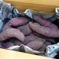 岐阜県恵那市　さつまいも　4.5㎏　べにはるか　小さい物ばかり訳あり | 4.5㎏