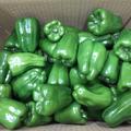 物価高騰に一役！！大家族向け　緑　無選別 | 2Kg
