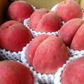 今年最後🉐【送料込】＜訳あり＞【南アルプスの桃🍑幸茜】2キロ