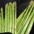 【おまけ付き】阿部農園の朝採りアスパラ 2Lサイズ 800g | 2Lサイズ 800g+Mサイズ 100g