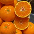 【希少価値の高い】🍊はれひめ🍊（5.0k入） | 5.0k入