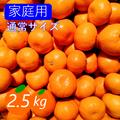 【家庭用】愛媛みかん 2.5kg(通常サイズ) ひとくちで恋する♡濃い味みかん♪ | 【家庭用】2.5kg(箱込み)