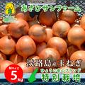 【Mサイズ5kg】 淡路島産たまねぎ 兵庫県認証食品 レシピ付き！ | Mサイズ5kg