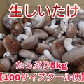【クール便】新鮮生しいたけ5kg【不揃い100サイズ】【飲食店向き】 | 5kg
