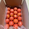 昔ながらのトマト🍅80サイズ箱詰め(S玉) | 80サイズ箱詰め(S玉)