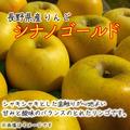 【家庭用】 シナノゴールド 約3kg 長野県産りんご | 約3kg 6～12個