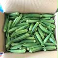 鹿児島産】甘塩ゴーヤ箱込み3キロ^_^ | 野菜/ゴーヤ 産直アウル