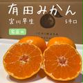 完熟甘うま！【有田みかん】温州みかん　宮川早生　家庭用　5キロ低農薬 | 5kg2Sサイズ