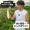 まるちゃん農園🌾の真っ白とうもろこし🌽ピュアホワイト！5本(状態によってオマケ付き) | 5本(状態によってオマケ付き)
