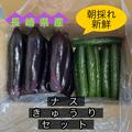 🍆茄子、🥒きゅうりセット 各２キロ　（茄子１０本、きゅうり１５本）前後