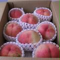 【訳あり】もも　あかつき　3kg 長野県産 | 3kg