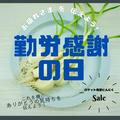 【勤労感謝の日】においにくい！ 岐阜県産 ロケット発芽にんにく　30本セット | 1set(30個)