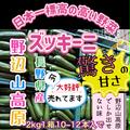 [長野県産]野辺山高原の美味しいズッキーニ11本入り | 11本入り 2~3kg