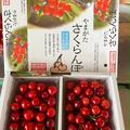 山形県産さくらんぼ　紅秀峰 | 紅秀峰