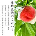 【山梨から直送】“訳あり”だけど甘い桃🍑　2k箱（5〜8玉入り） | 2kg