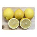 🍋木下さんちのレモン🍋『訳あり5キロ』 | 訳あり5キロ(大中小混み)