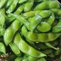 新潟茶豆1kg くろさき茶豆登録品種 | 1kg