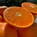 愛媛県産せとか2.5k入とオリジナルジュース2本入セット🍊 | 5.0k
