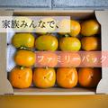 【本年最終】ほとばしる甘さっ！ ひらたねなし柿（平核無柿）🟠✨　ファミリーパック L以上15〜20個入り　11月上旬より順次発送 | ファミリーパック L以上15〜20個入り