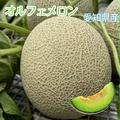 オルフェメロン【4L】2玉 | 4Lサイズ2玉