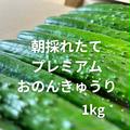 『プレミアムおのんきゅうり』 | 1kg（約10本）