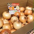 淡路島産玉ねぎ5kg 品種【七宝】Sサイズ直径約5〜6センチ | 約5kg 