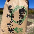 お米 令和6年産 旭一号 玄米10キロ 自然栽培米 無農薬 無肥料 玄米 10kg 自然栽培 朝日米 令和6年産 送料無料 おかやま自然