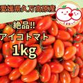 【絶品‼︎】皮がパリッとジューシーなアイコ（1キロ） | アイコトマト（１キロ）