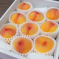 【黄桃品種おまかせ】『家庭用』旬の桃【産直ギフト】 | ２箱