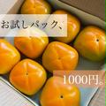 【本年最終】ほとばしる甘さっ！ ひらたねなし柿（平核無柿）🟠✨　お試しパック 6〜9個入り Mサイズ以上 11月上旬より順次発送 |  お試しパック　6〜9個入り Mサイズ以上