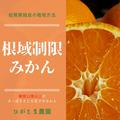 ✨太幸早生✨根域制限栽培みかん10kg | 根域制限みかん10キロ(箱込み)