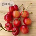 鮮度抜群！食べる宝石さくらんぼ「佐藤錦」 訳あり品バラ詰め 1kg | 訳あり品 1kg