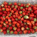 【お買い得】紅ほっぺ 小粒いちご（3kg） | 3.0kg