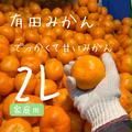 完熟甘うま！【有田みかん】温州みかん　宮川早生　家庭用　5キロ低農薬 | 箱込み5キロ　2Lサイズ