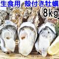 【20％OFF中】生食用 殻付き 牡蠣 8ｋｇ（56~140粒）8キロ 牡蠣 殻付き 牡蛎 宮城県産 カキ 生牡蠣【旬祭限定】 | 8kg