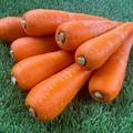 甘～い香り！美潤にんじん🥕1.8ｋｇ | 美潤にんじん1.8ｋｇ