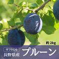 生プルーン 2kg（サンタス）／ 本気農場いけだ | 約2kg