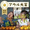 【5kg×2箱】温州みかん | 箱込5kg×2箱