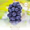 BK-2 花笑み農園　岡山の『BKシードレス』約2ｋｇ | 約2ｋｇ（3~6房入り）